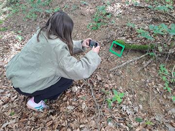 Frau fotografiert Pflanze