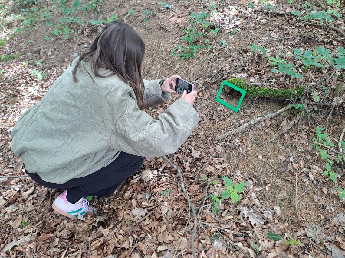 Frau fotografiert Pflanze