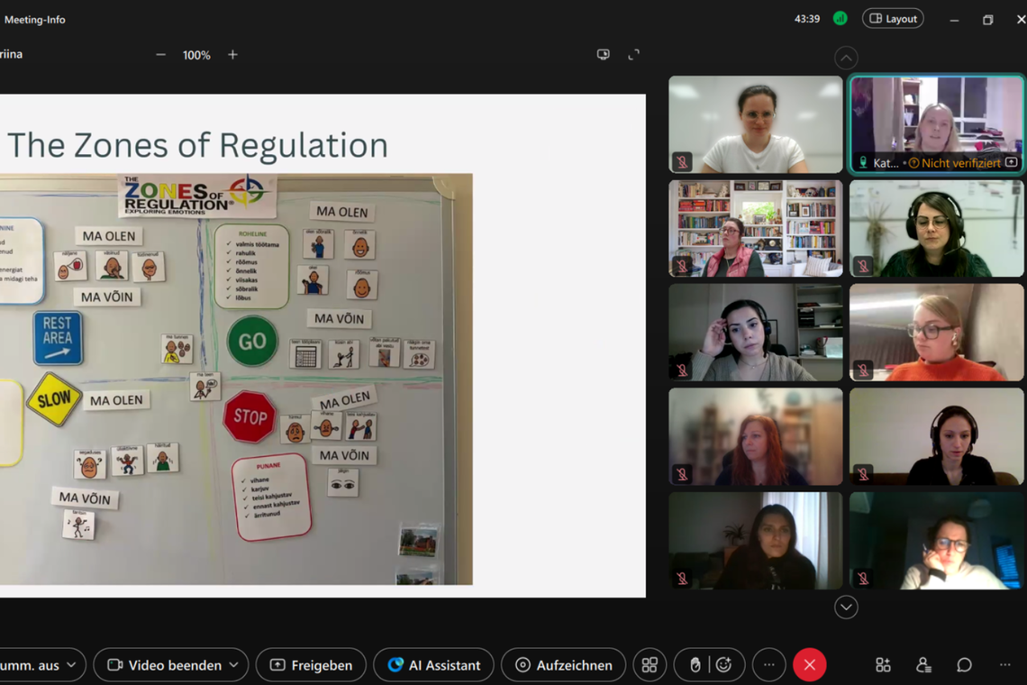 Screenshot von Online Meeting